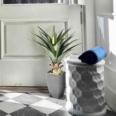 Luxury Loft In דירה